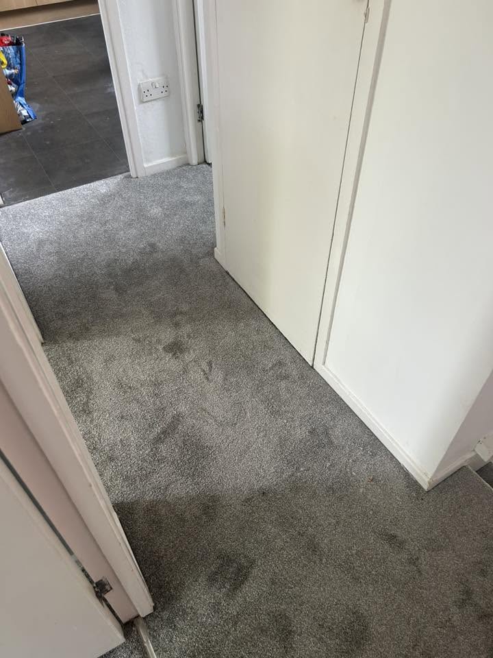 Grey carpet fitted on a landing